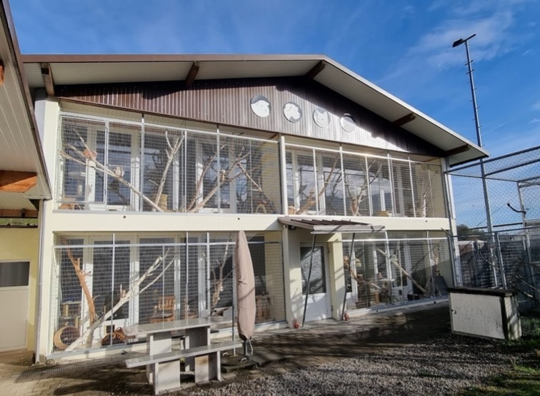 Tierresort